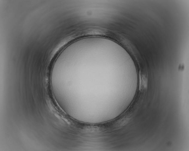 X0000111820435200908131526