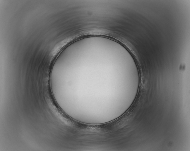 X0000111820437200908131526