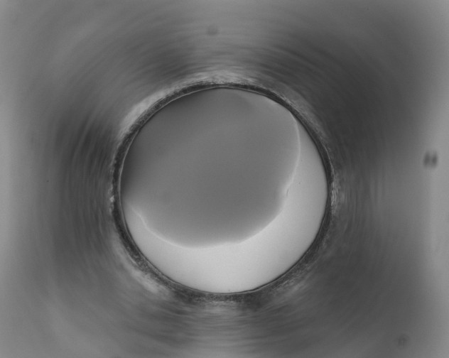 X0000111820438200908131526