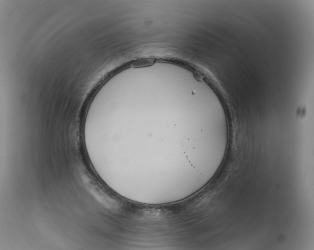 X0000111820439200908131526