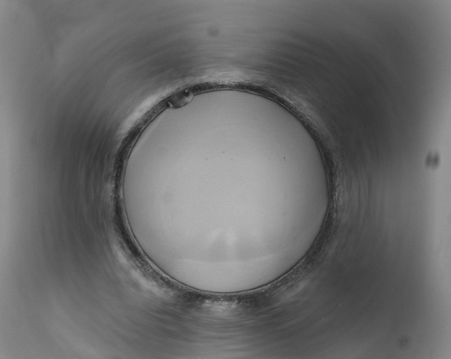 X0000111820440200908131526