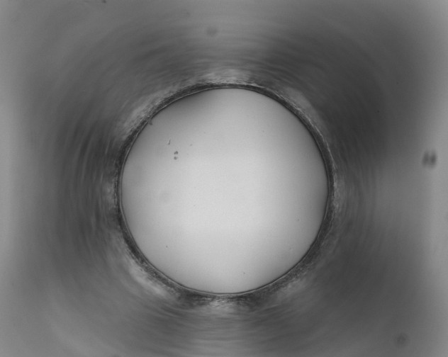 X0000111820441200908131526