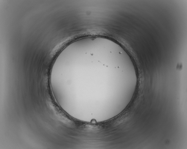 X0000111820442200908131526