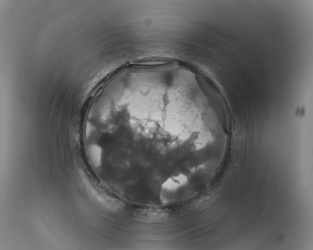 X0000111820443200908131526