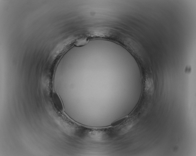 X0000111820444200908131526