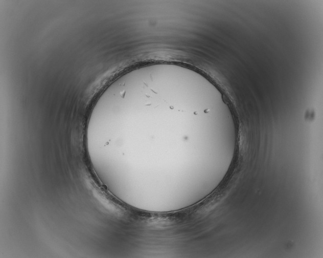 X0000111820445200908131526