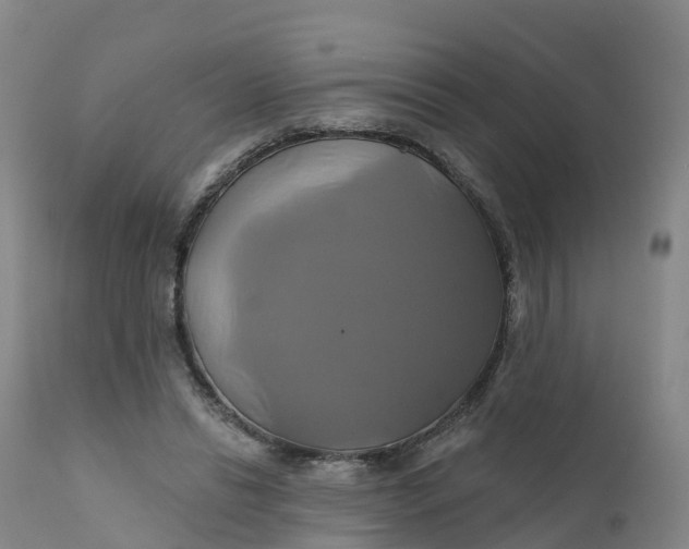 X0000111820446200908131526