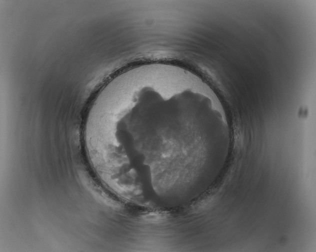 X0000111820447200908131526