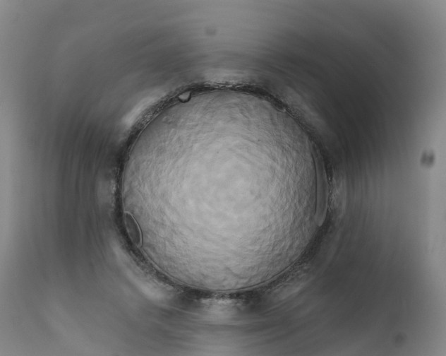 X0000111820448200908131526