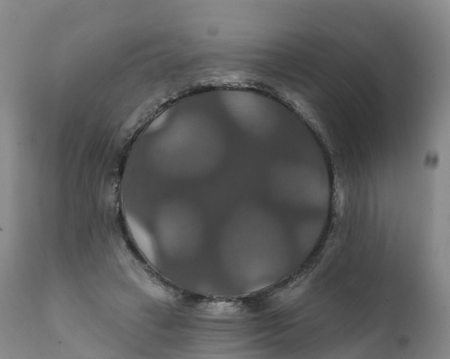 X0000111820449200908131526