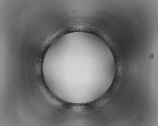 X0000111820450200908131526