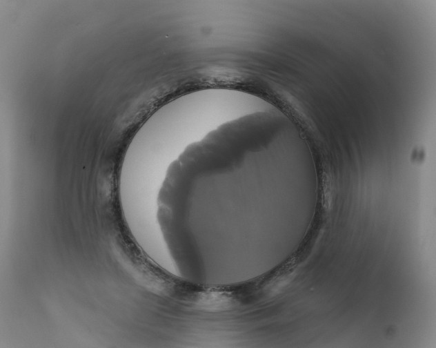 X0000111820451200908131526