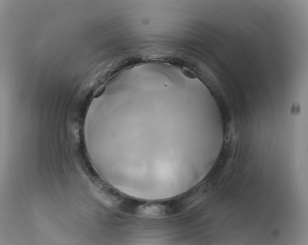 X0000111820452200908131526