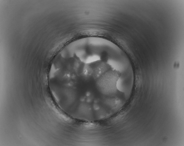 X0000111820453200908131526