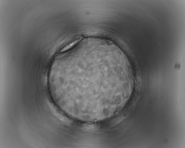 X0000111820454200908131526