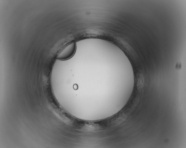 X0000111820455200908131526