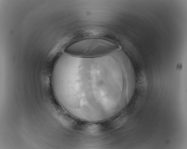 X0000111820456200908131527