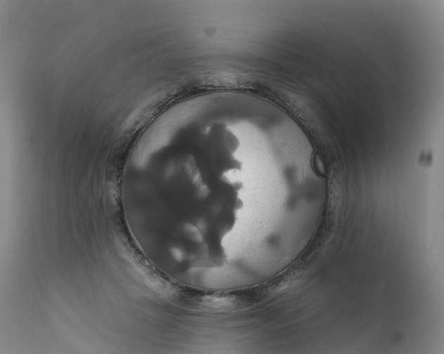 X0000111820457200908131527