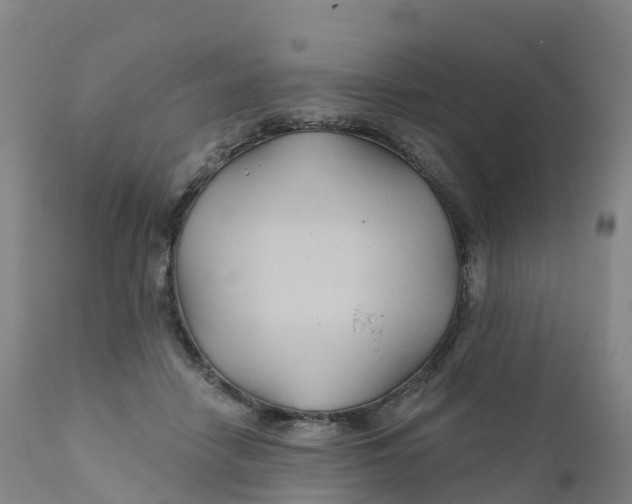 X0000111820458200908131527