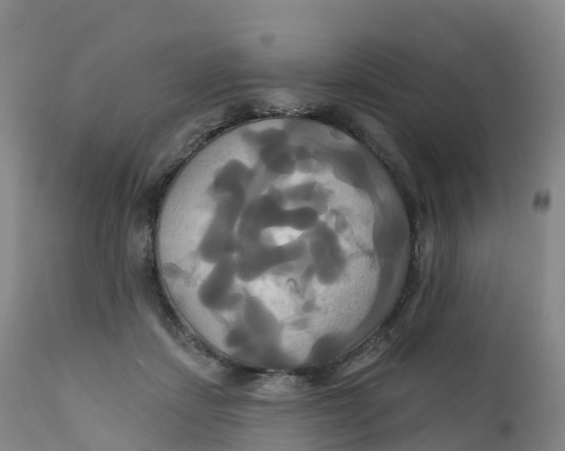 X0000111820459200908131527