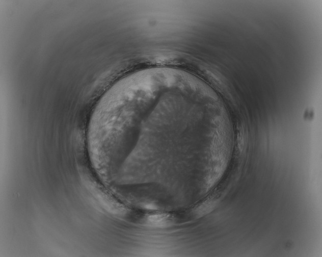 X0000111820461200908131527