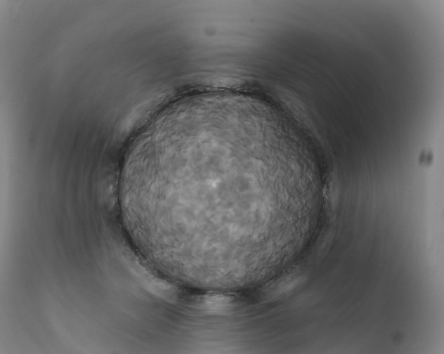 X0000111820462200908131527