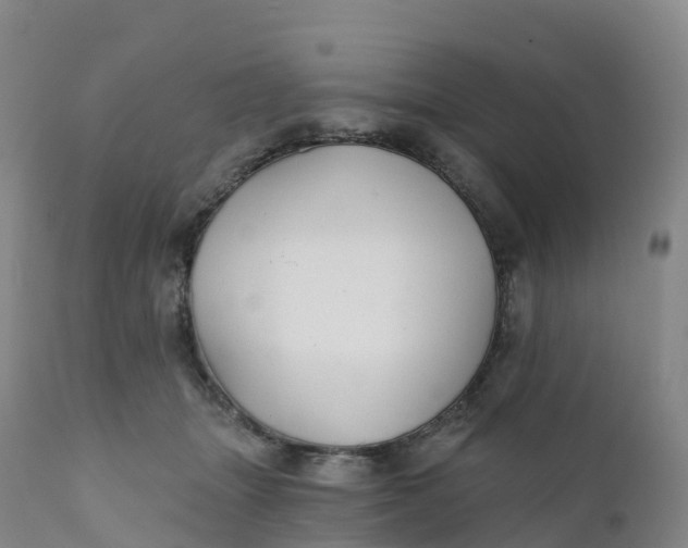 X0000111820463200908131527