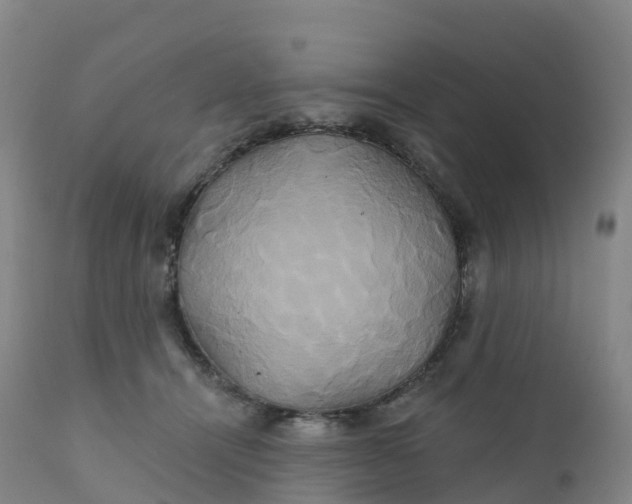 X0000111820464200908131527