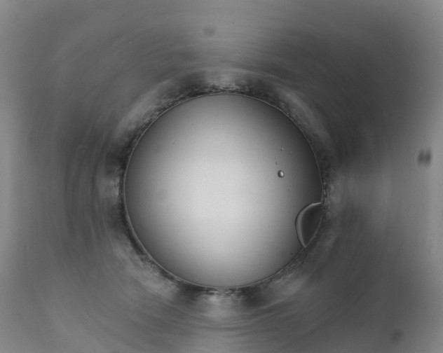 X0000111820466200908131527