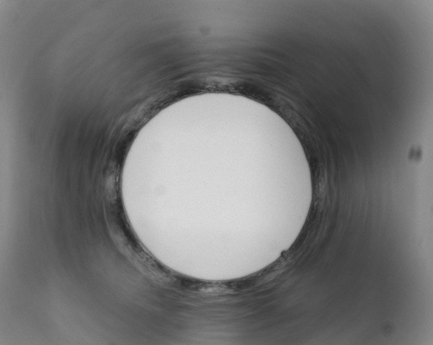 X0000111820468200908131527