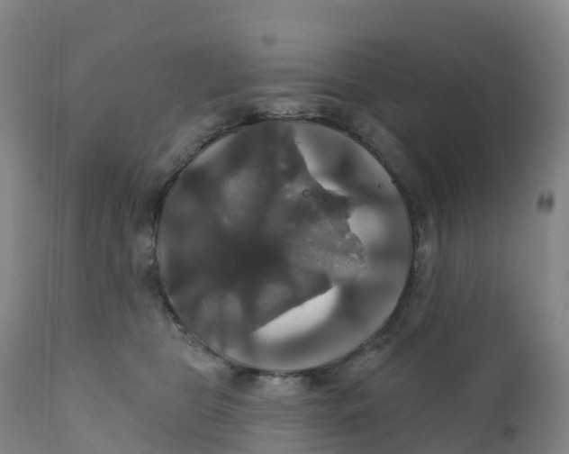 X0000111820469200908131527