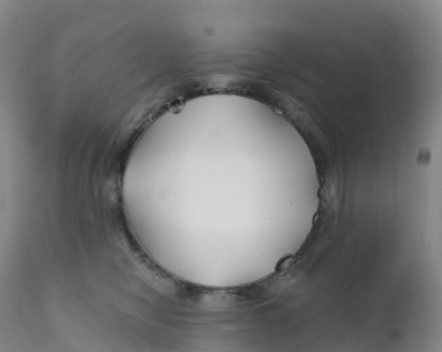 X0000111820470200908131527