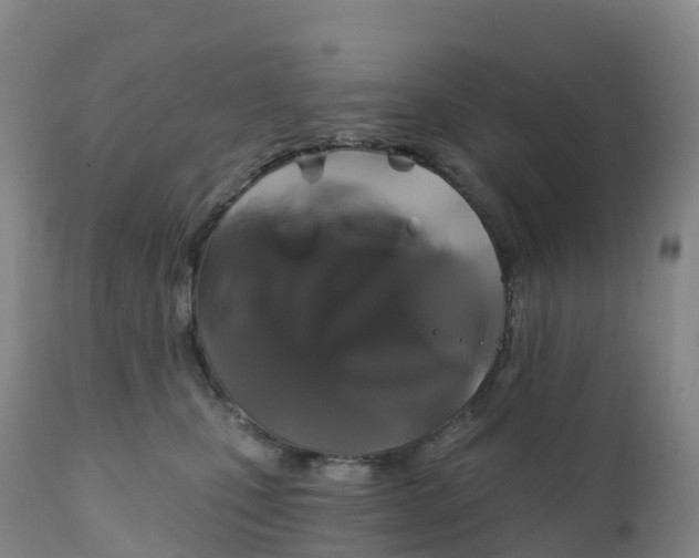 X0000111820471200908131527