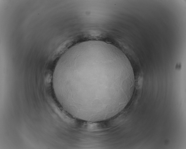 X0000111820472200908131527