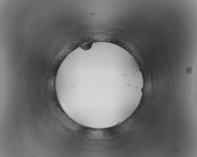 X0000111820473200908131527