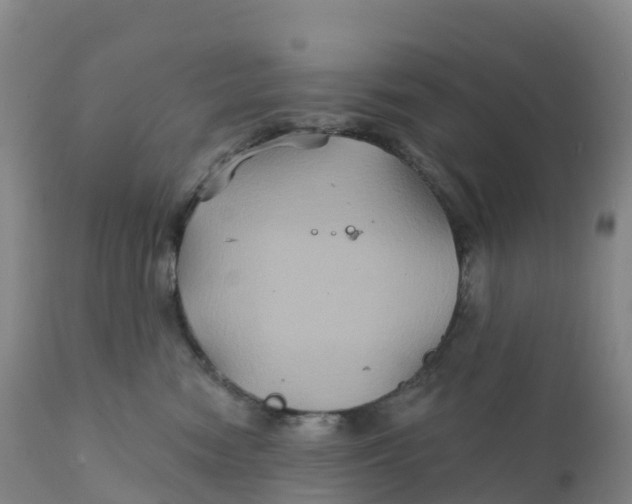 X0000111820474200908131527