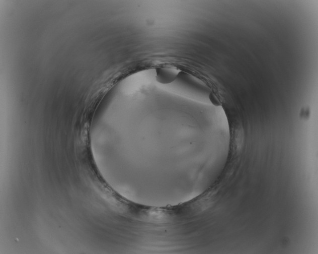 X0000111820475200908131527