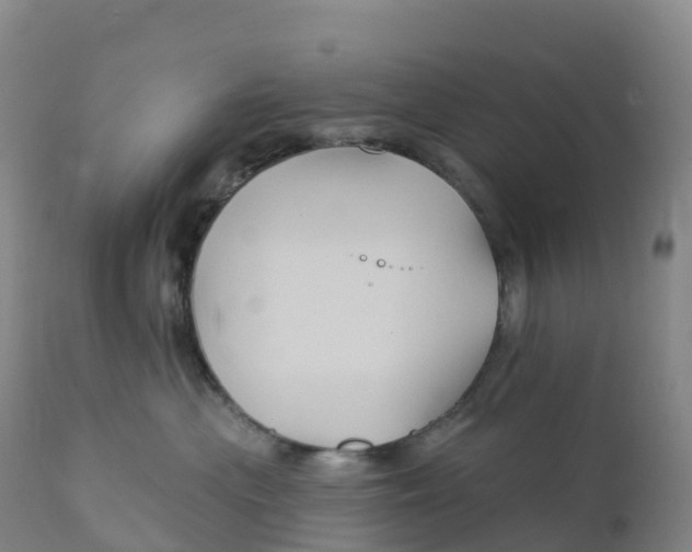 X0000111820477200908131527