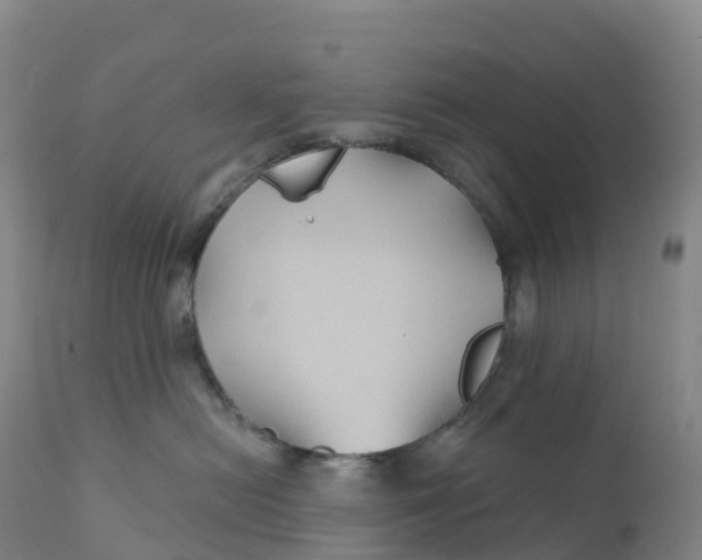 X0000111820478200908131527