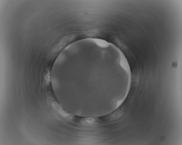 X0000111820479200908131527