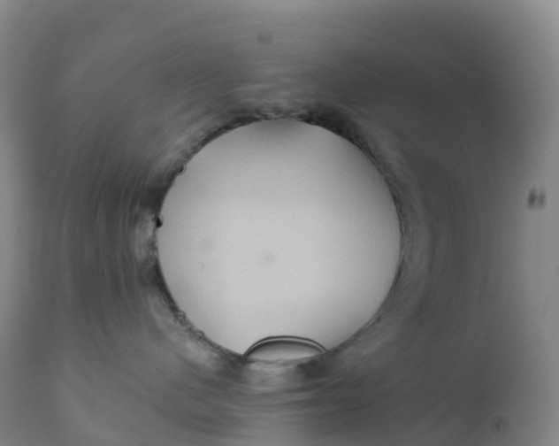 X0000111820480200908131527