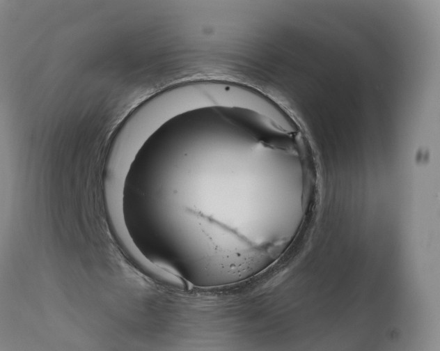 X0000111820481200908131526