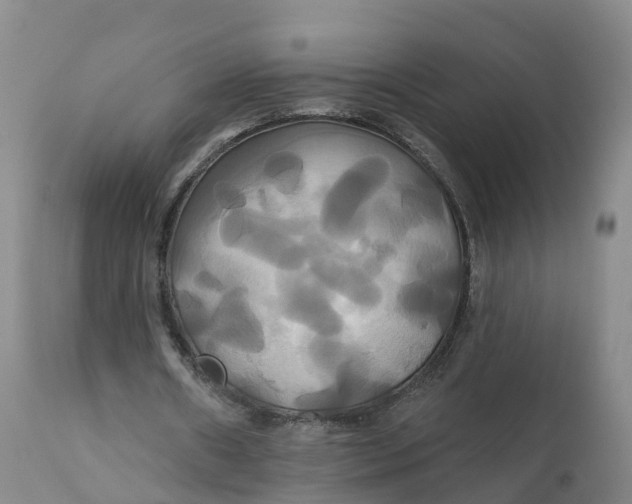 X0000111820482200908131526