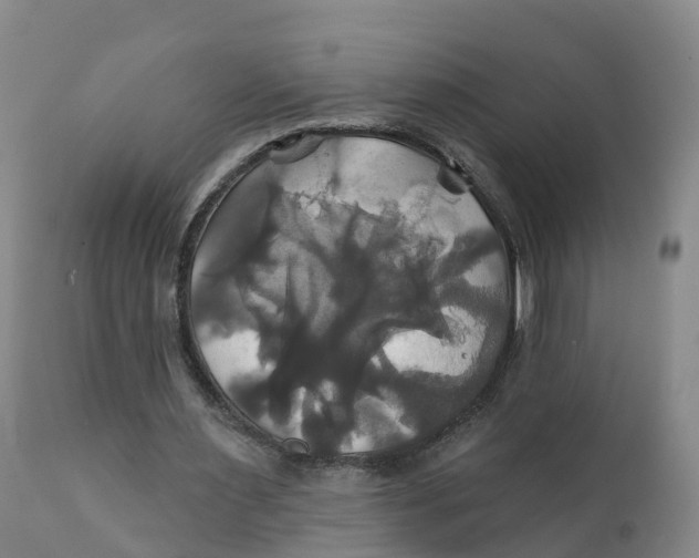 X0000111820483200908131526