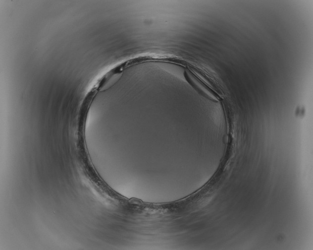 X0000111820484200908131526