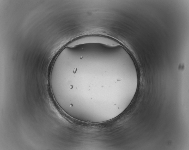 X0000111820485200908131526