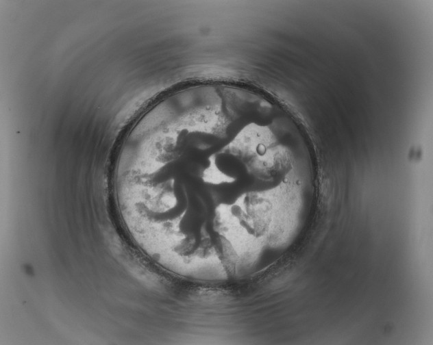 X0000111820487200908131526