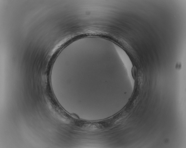 X0000111820488200908131526