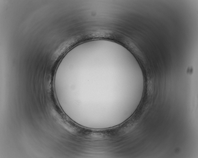 X0000111820490200908131526