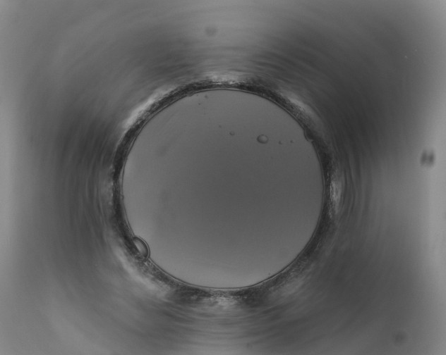 X0000111820492200908131526